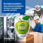 Da criação à prateleira: duas maneiras inteligentes de lançar um projeto de pouches com bico. 