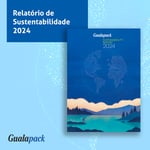 Relatório de Sustentabilidade 2024 